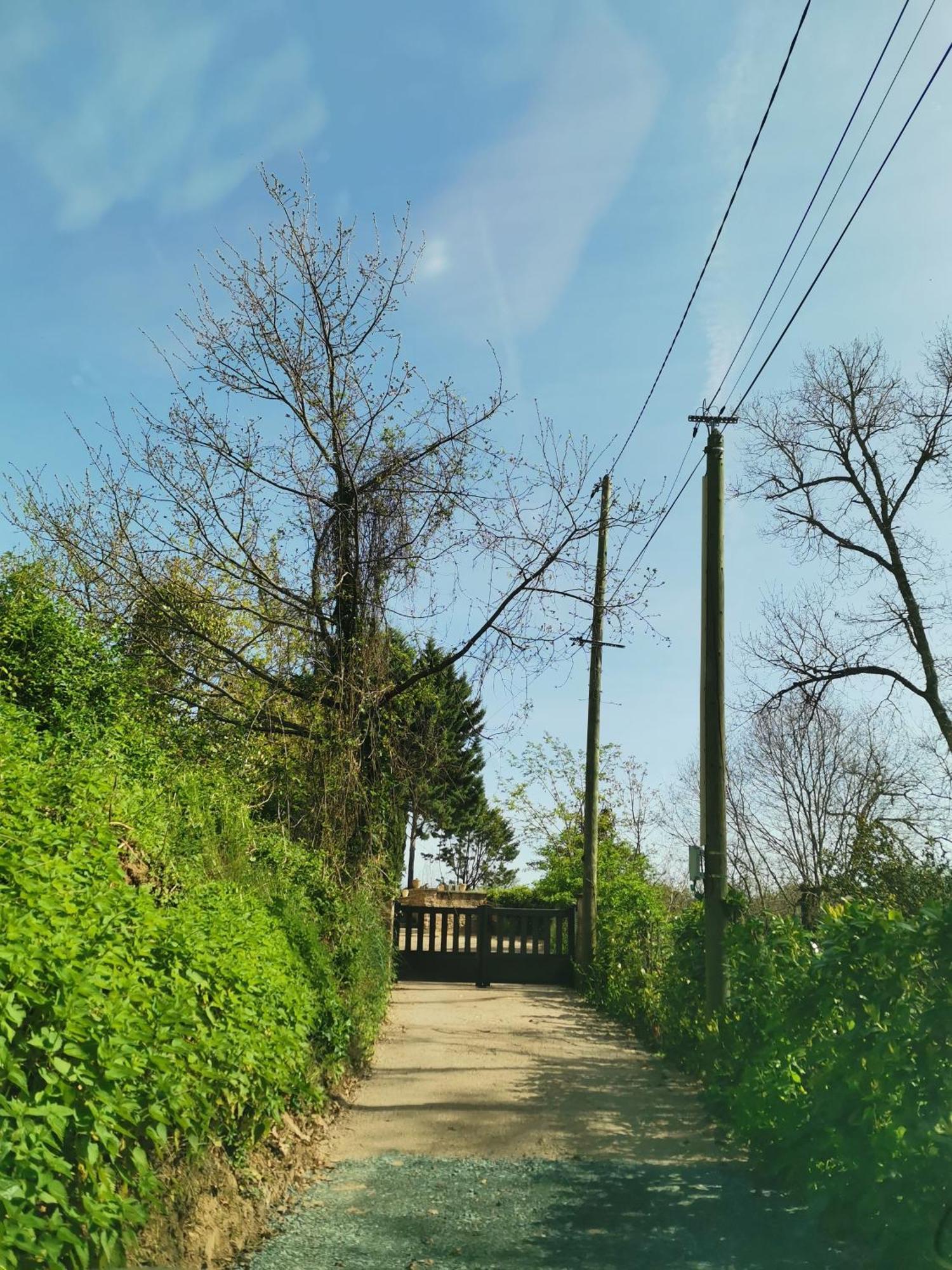 הוילה Castelnau-de-Lévis La Planque De L'Eclusier מראה חיצוני תמונה